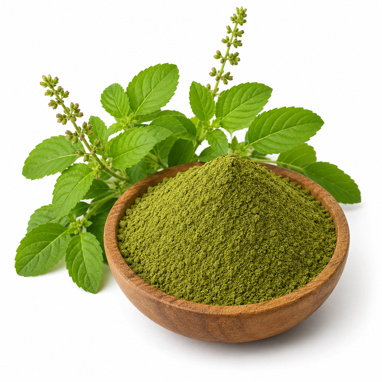 Tulasi Leaf Powder(Holy Basil)